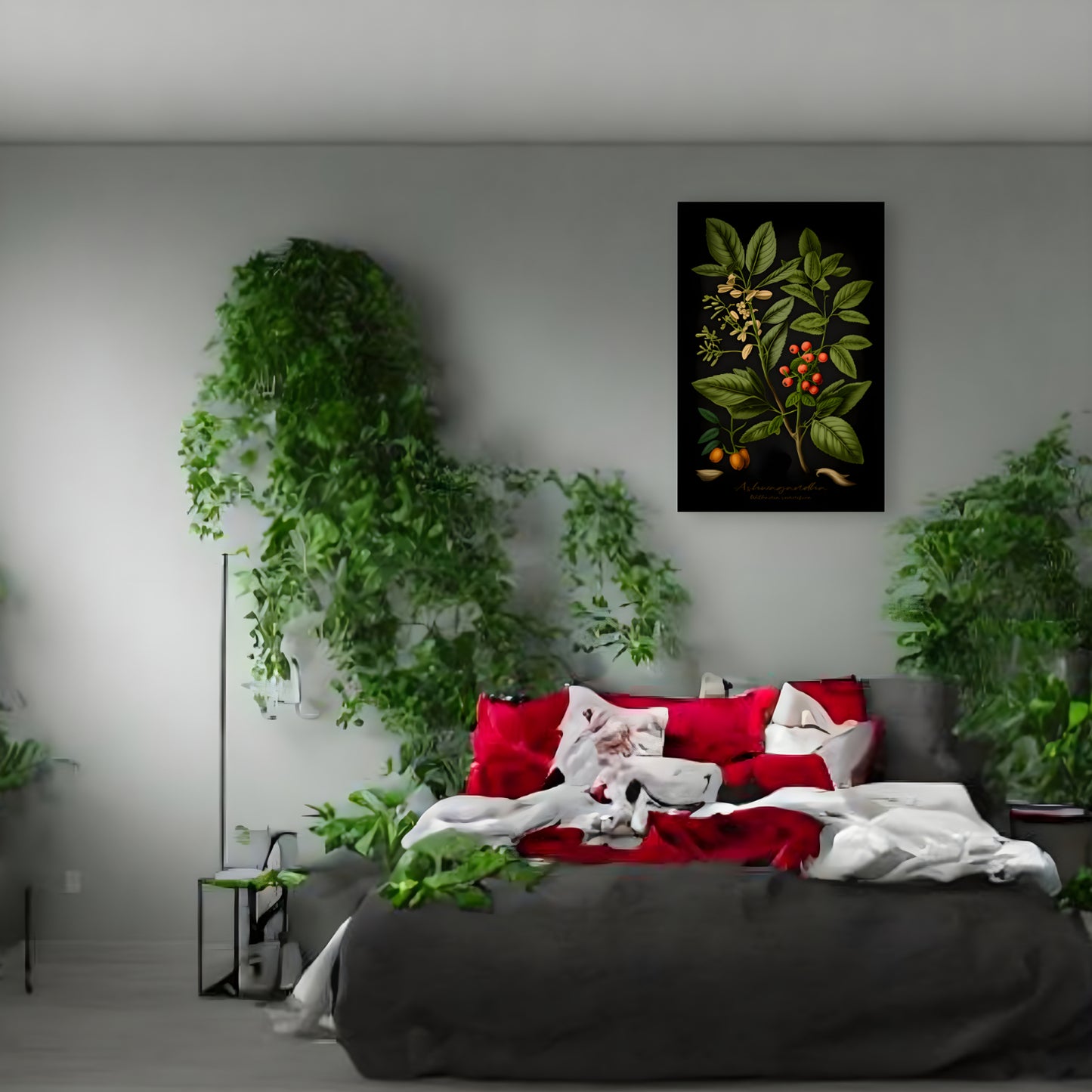 Dark Ashwagandha Canvas Print - Herbal Art for Home or Office - Apothecary Decor