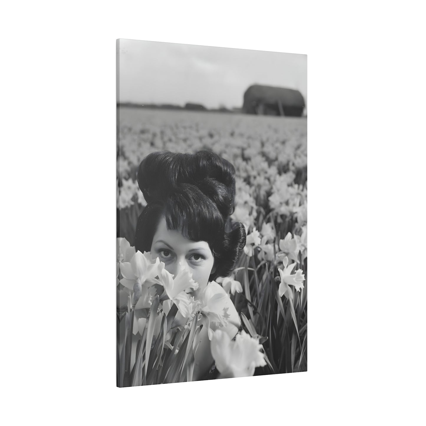 Daffodil Queen One Canvas Print - Apothecary Art for Home or Office - Apothecary Decor