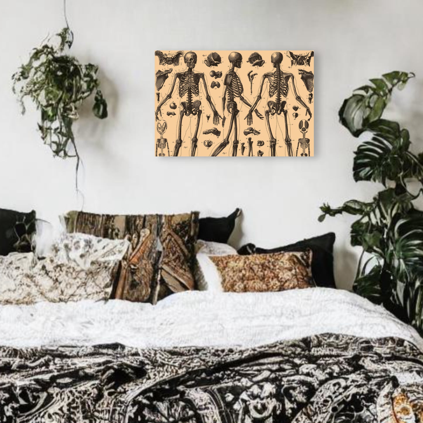 Human Anatomy Three Canvas Print - Apothecary Art for Home or Office - Apothecary Decor