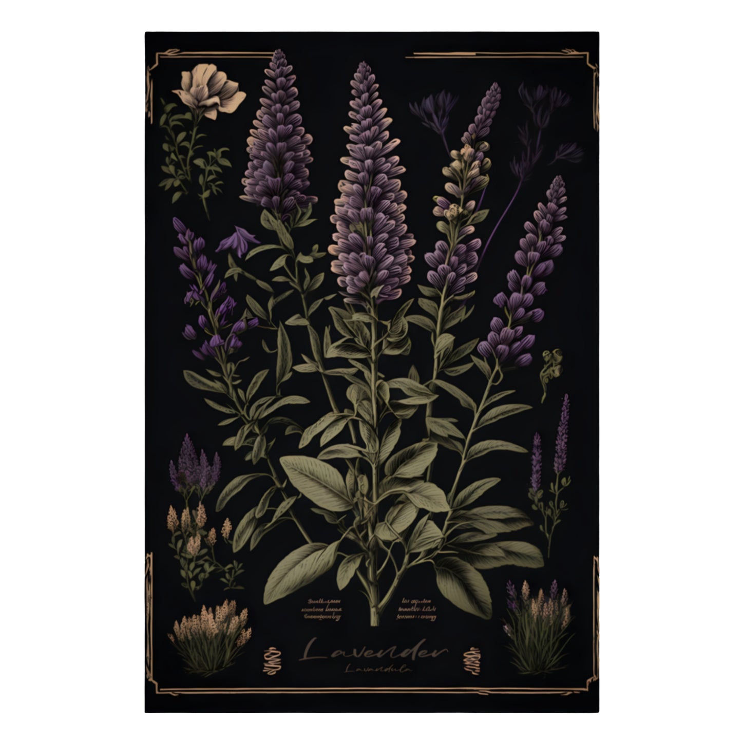 Dark Lavender Canvas Print - Herbal Art for Home or Office - Apothecary Decor