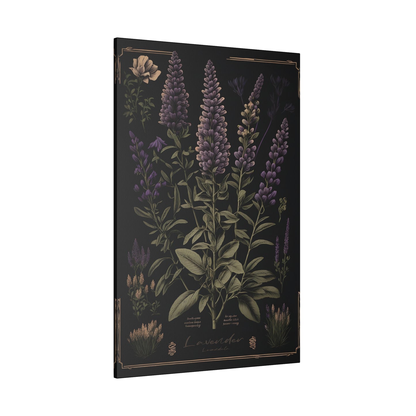 Dark Lavender Canvas Print - Herbal Art for Home or Office - Apothecary Decor