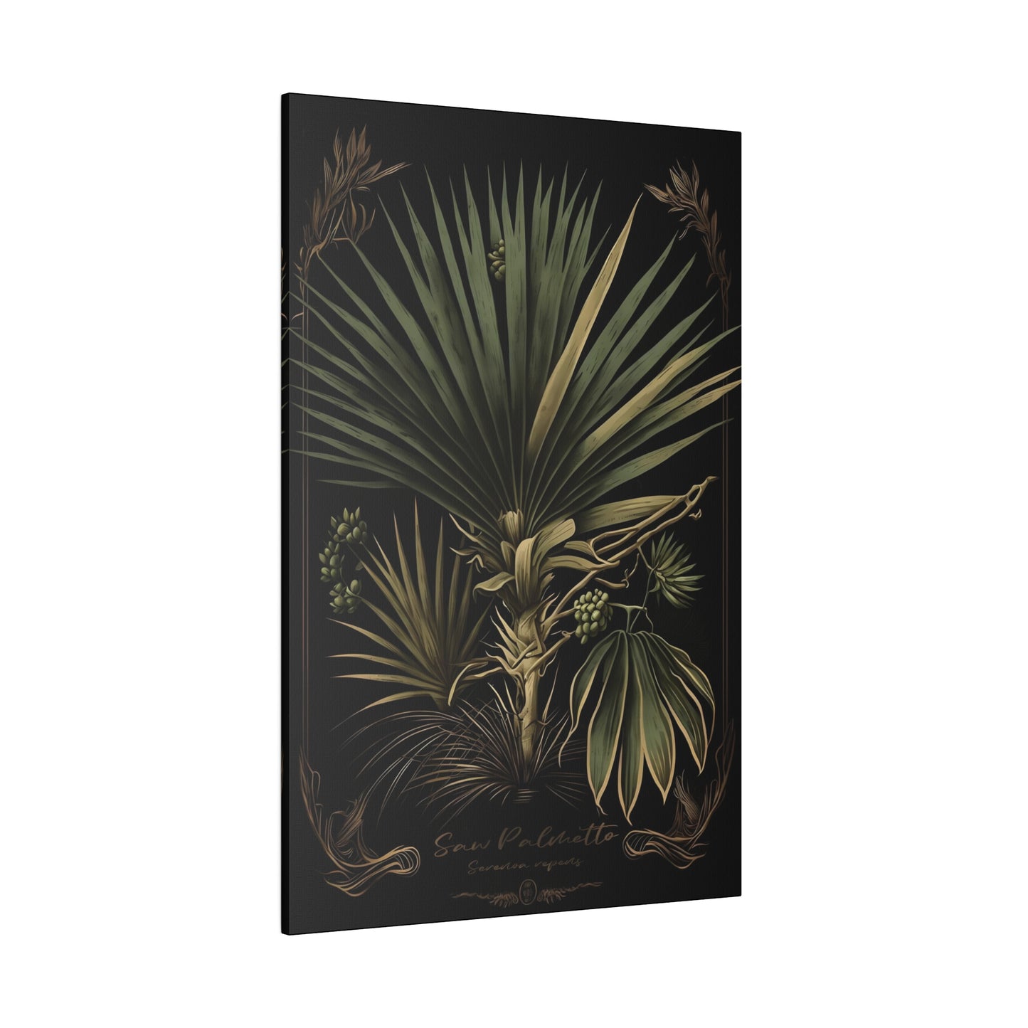 Dark Saw Palmetto Canvas Print - Herbal Art for Home or Office - Apothecary Decor