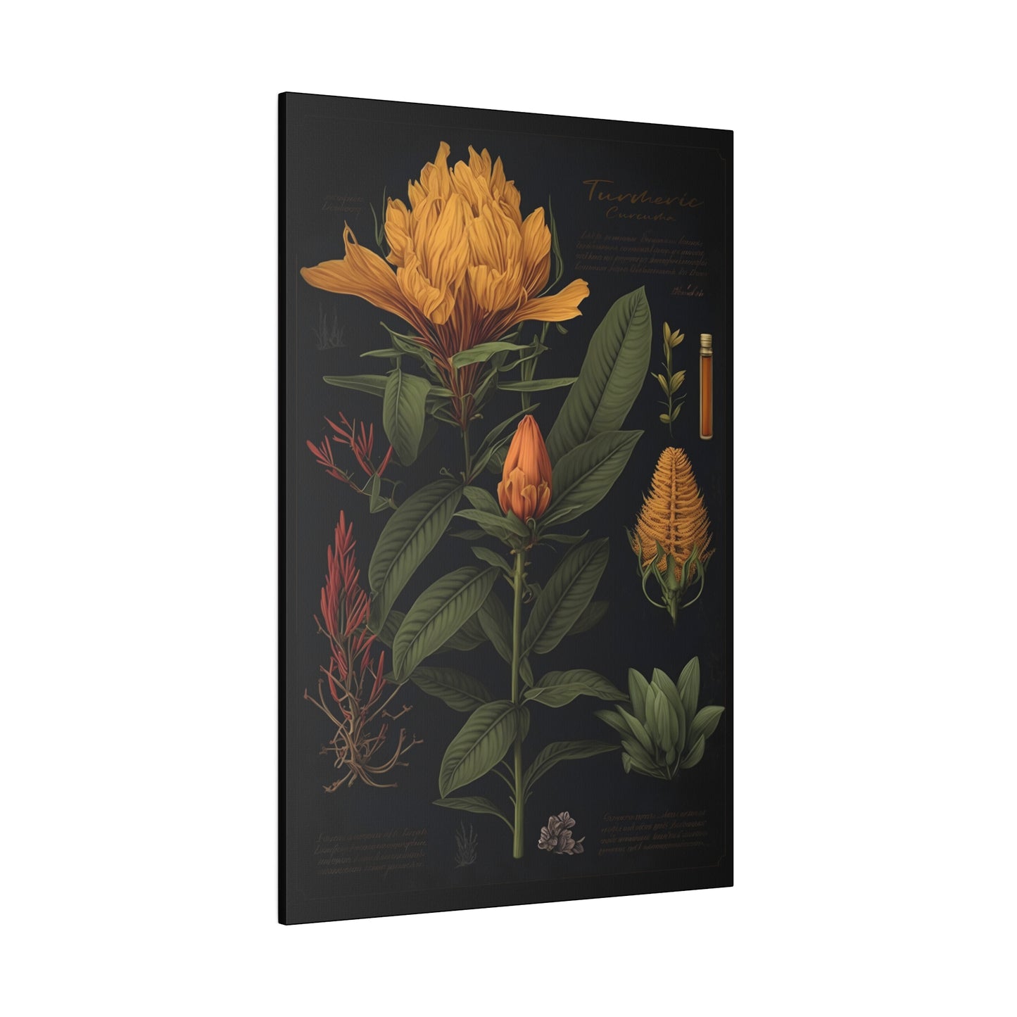 Dark Turmeric Canvas Print - Herbal Art for Home or Office - Apothecary Decor