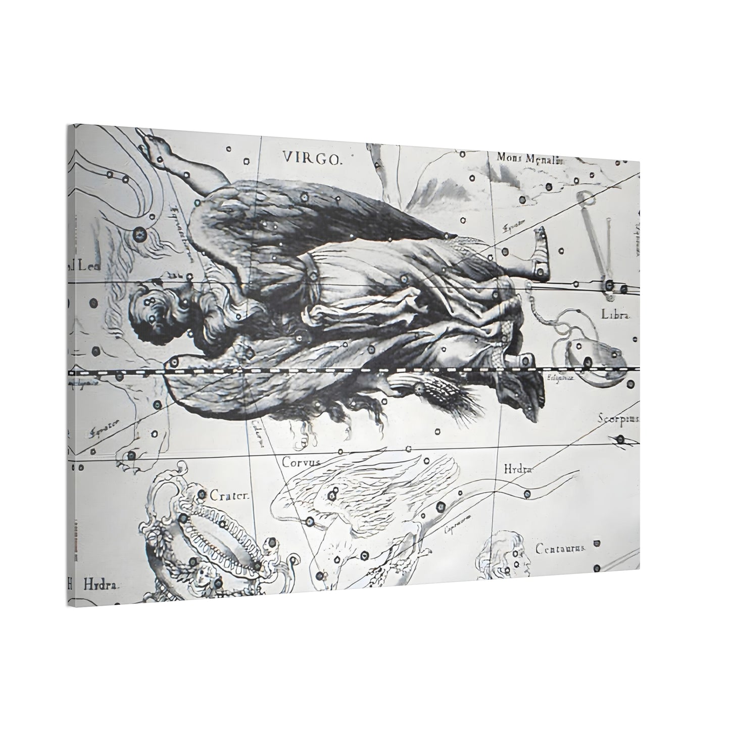 Virgo Astrology Canvas Print - Apothecary Art for Home or Office - Apothecary Decor