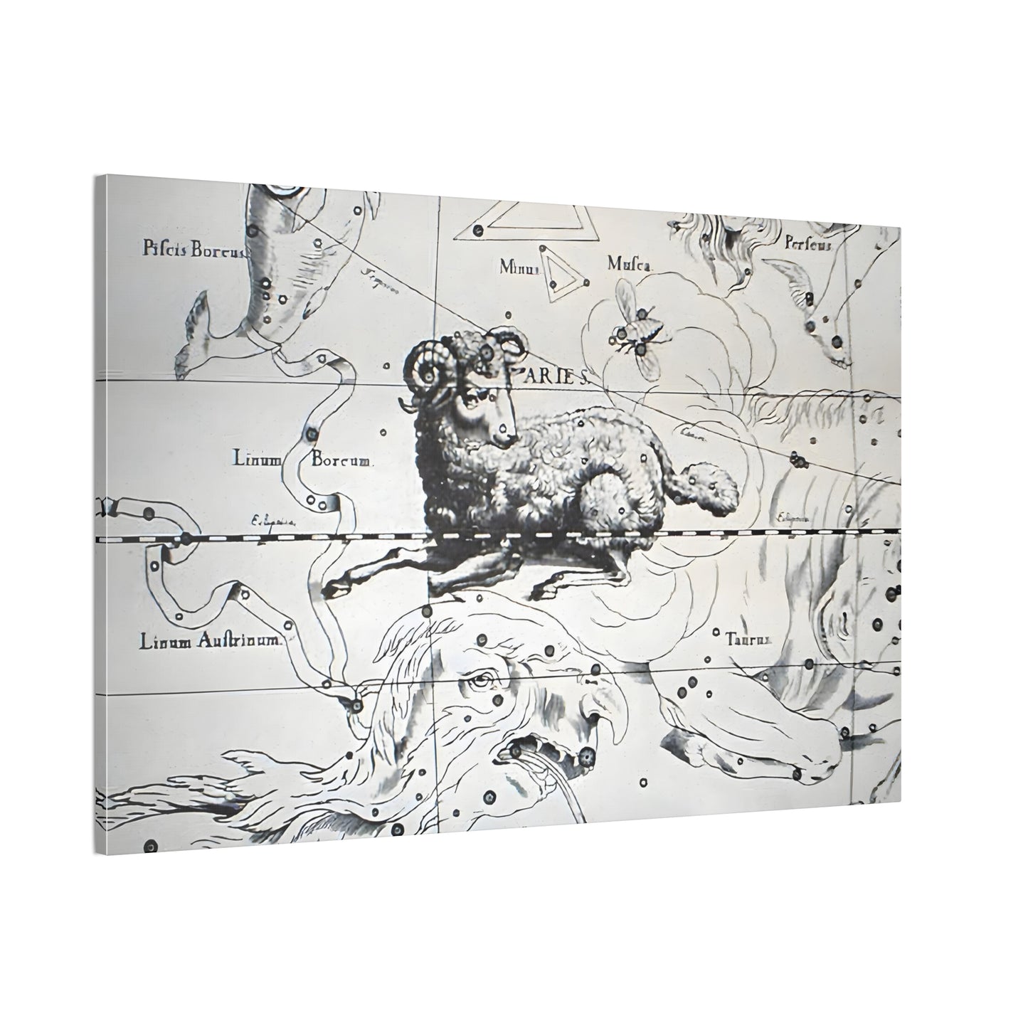 Aries Astrology Canvas Print - Apothecary Art for Home or Office - Apothecary Decor