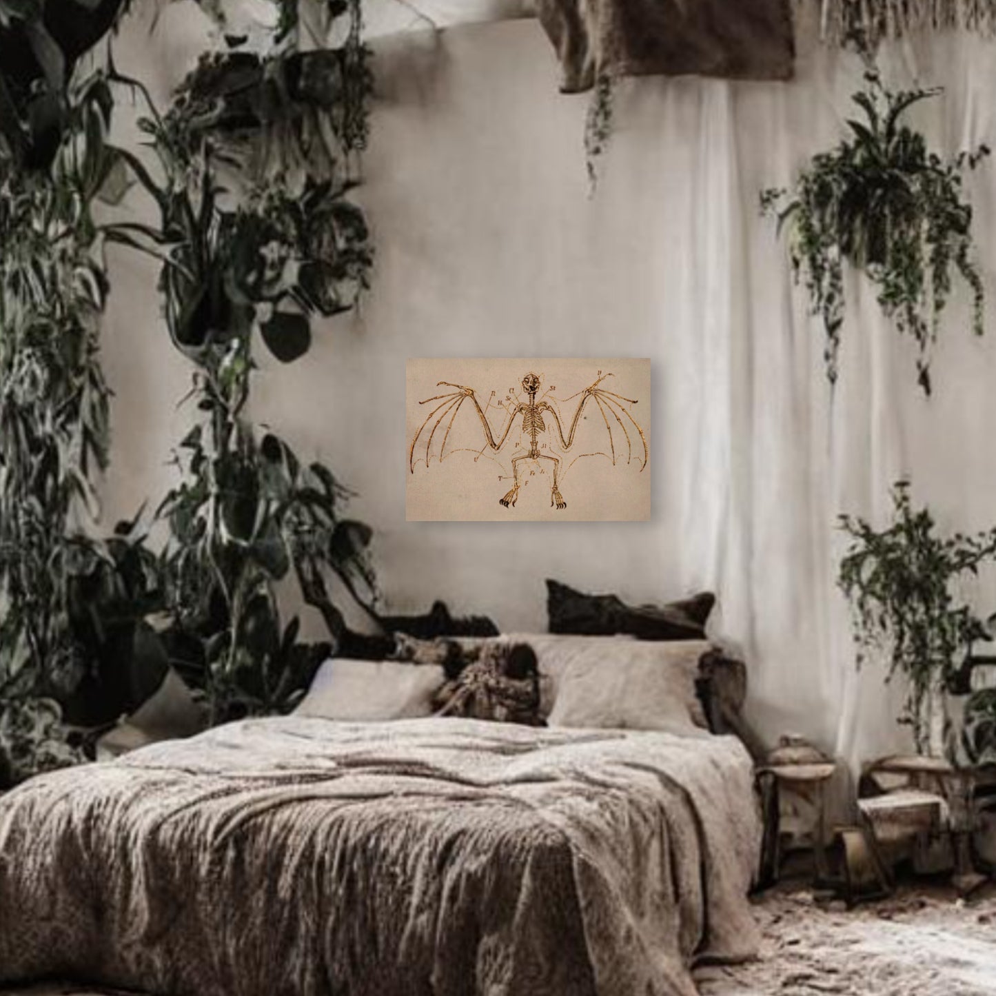 Bat Skeleton Canvas Print - Apothecary Art for Home or Office - Apothecary Decor