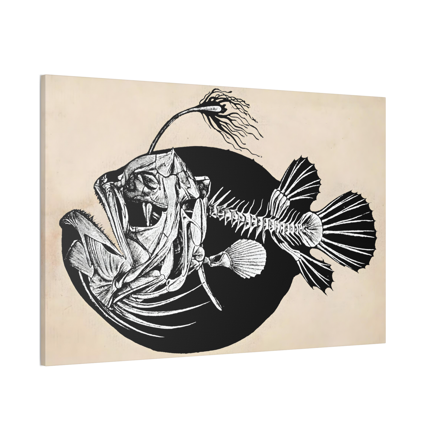 Fish Skeleton Canvas Print - Apothecary Art for Home or Office - Apothecary Decor