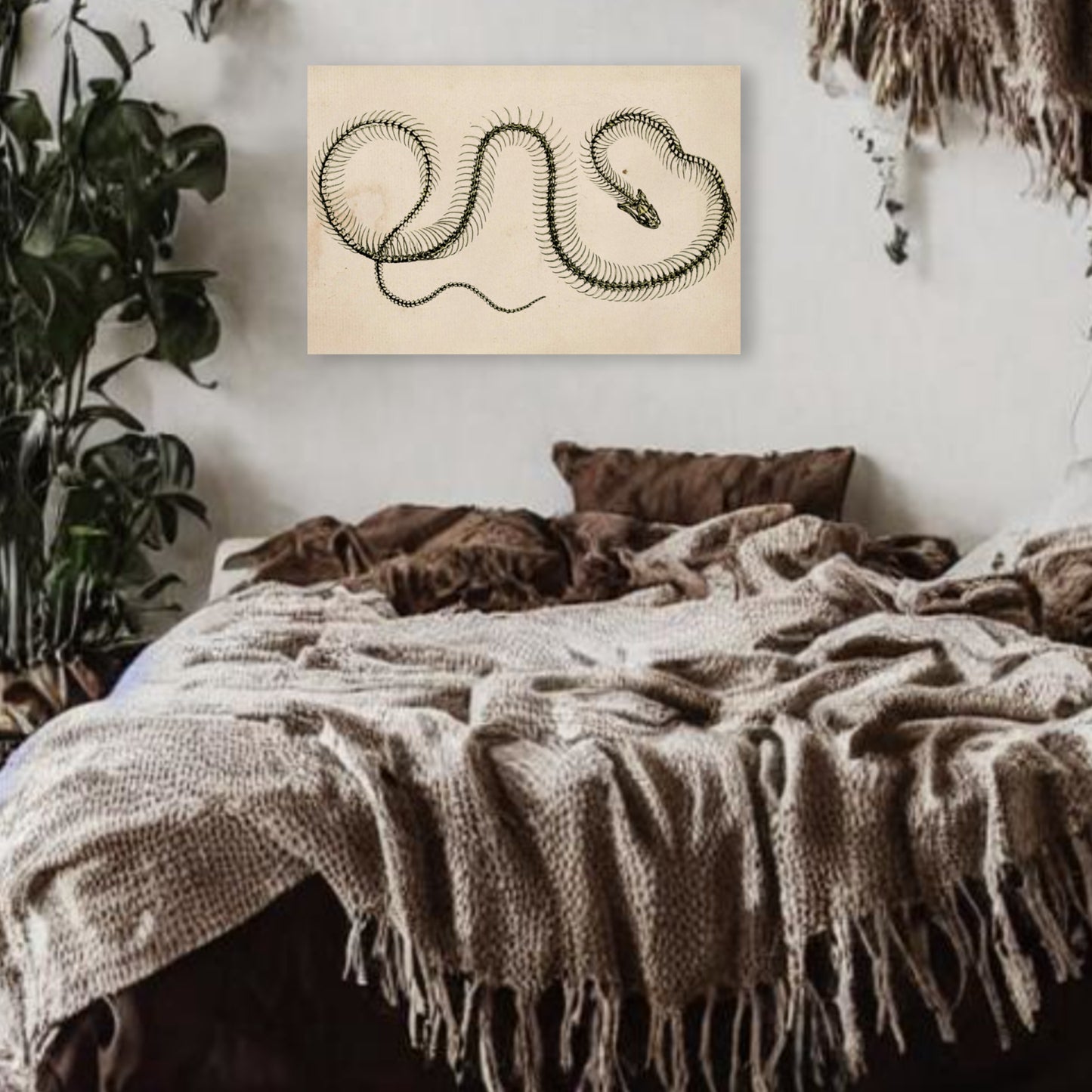Snake Skeleton Canvas Print - Apothecary Art for Home or Office - Apothecary Decor