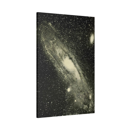 Andromeda Canvas Print - Apothecary Art for Home or Office - Apothecary Decor