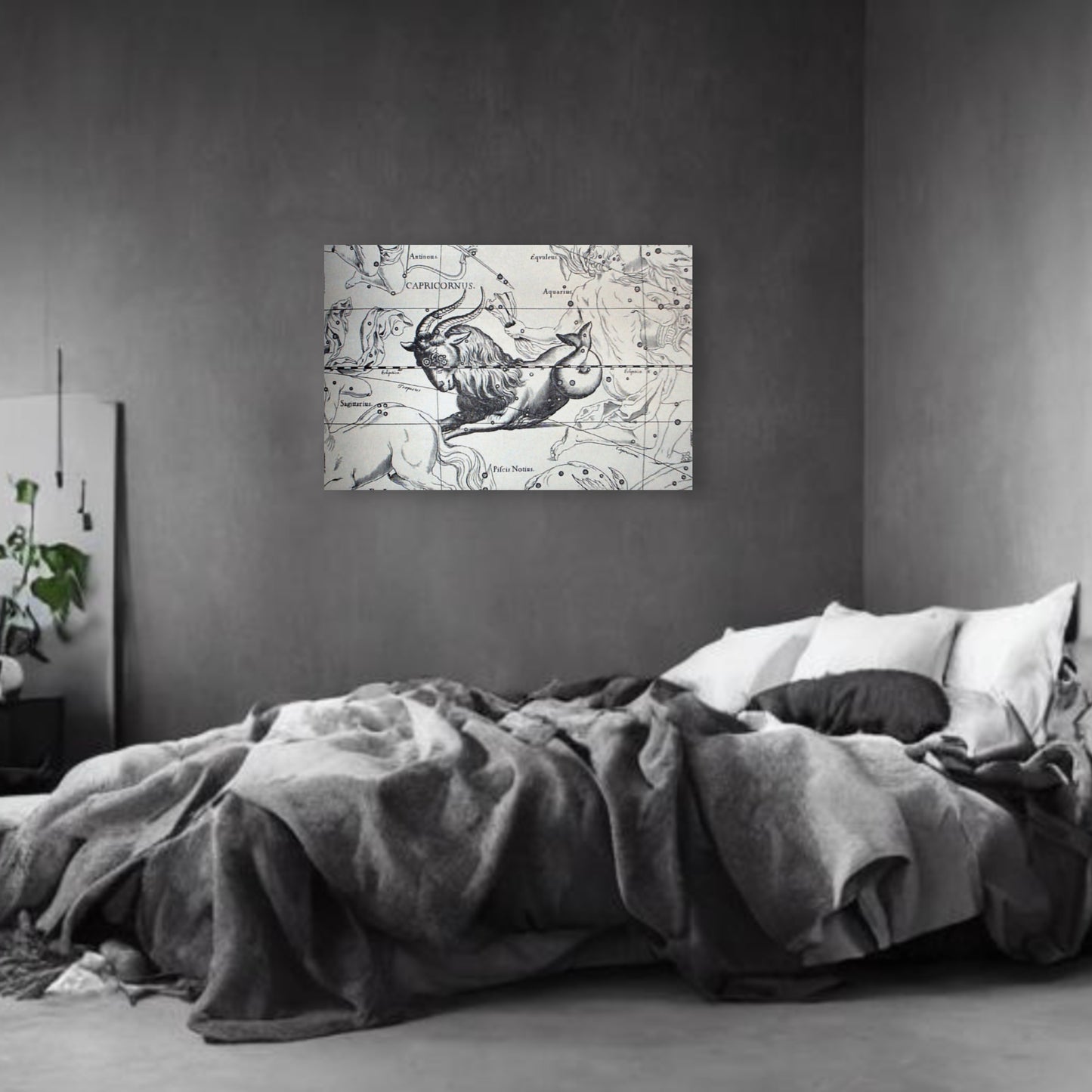 Capricorn Astrology Canvas Print - Apothecary Art for Home or Office - Apothecary Decor