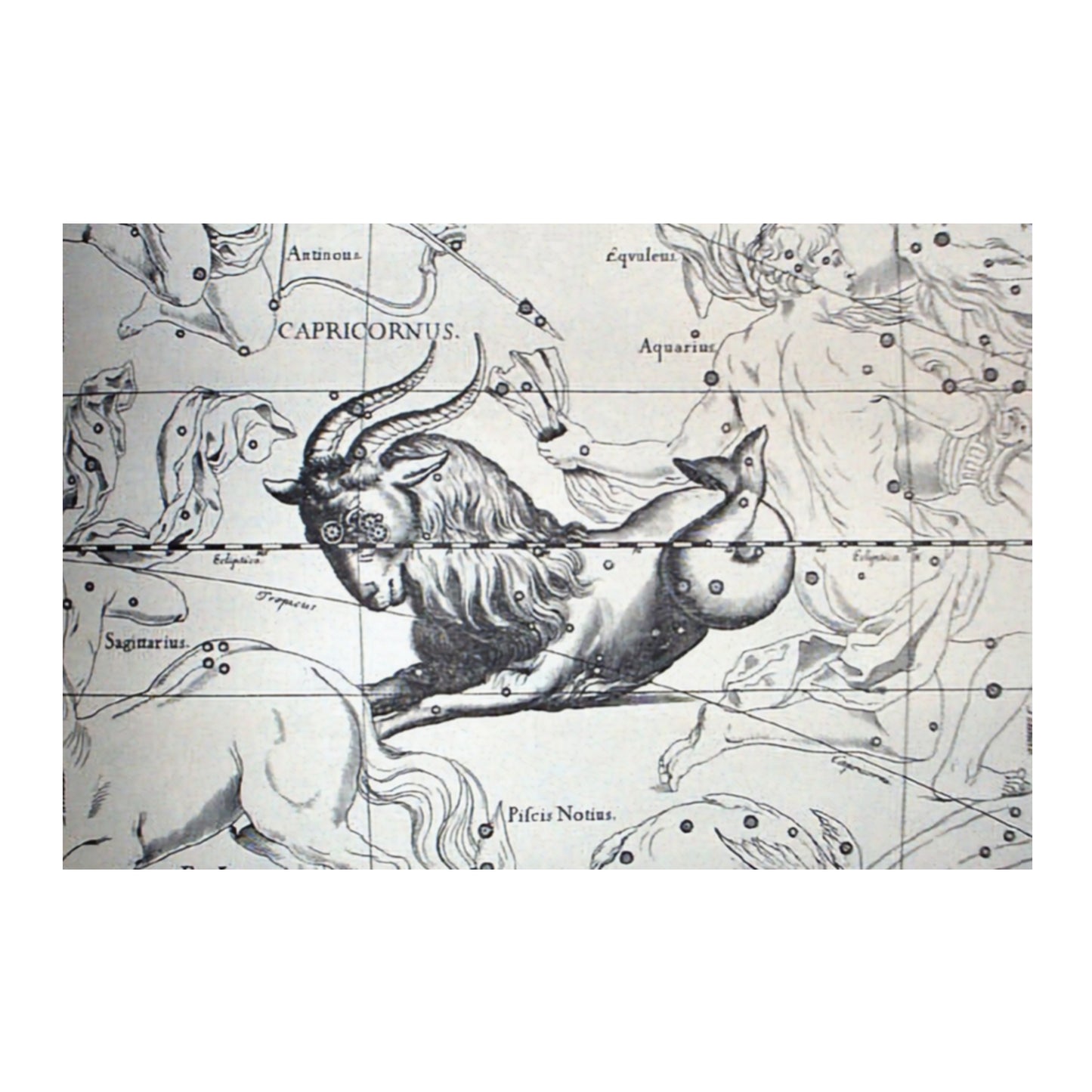 Capricorn Astrology Canvas Print - Apothecary Art for Home or Office - Apothecary Decor