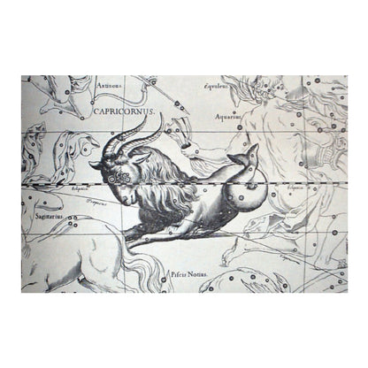 Capricorn Astrology Canvas Print - Apothecary Art for Home or Office - Apothecary Decor
