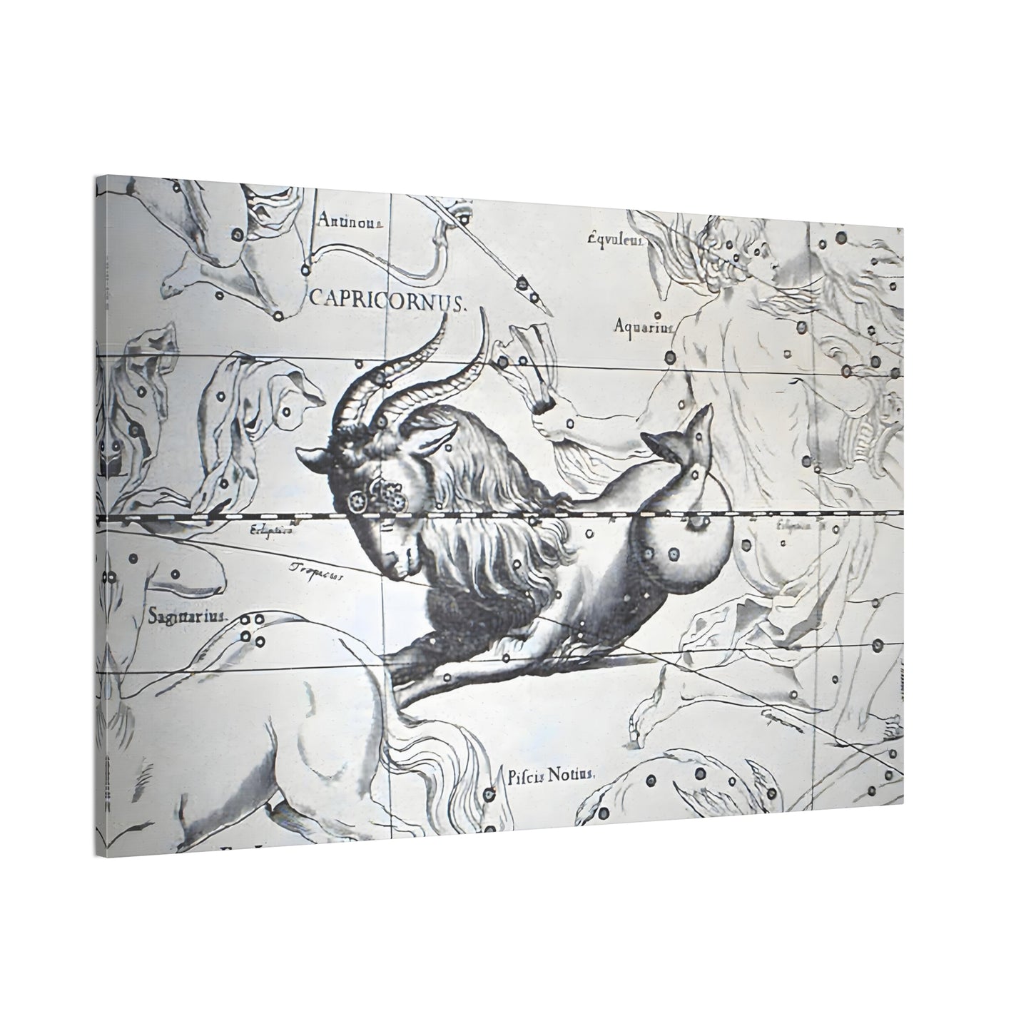 Capricorn Astrology Canvas Print - Apothecary Art for Home or Office - Apothecary Decor