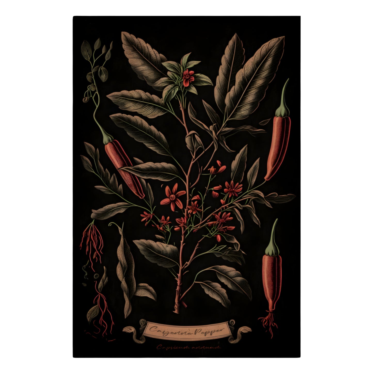 Dark Cayenne Canvas Print - Herbal Art for Home or Office - Apothecary Decor