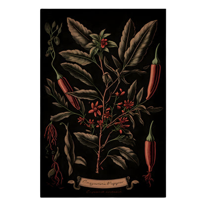 Dark Cayenne Canvas Print - Herbal Art for Home or Office - Apothecary Decor