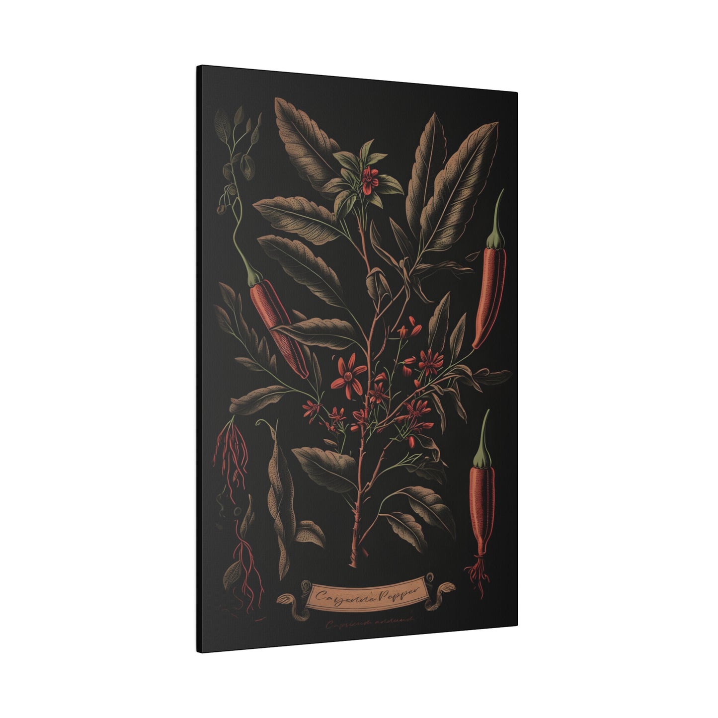 Dark Cayenne Canvas Print - Herbal Art for Home or Office - Apothecary Decor