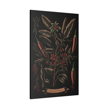 Dark Cayenne Canvas Print - Herbal Art for Home or Office - Apothecary Decor