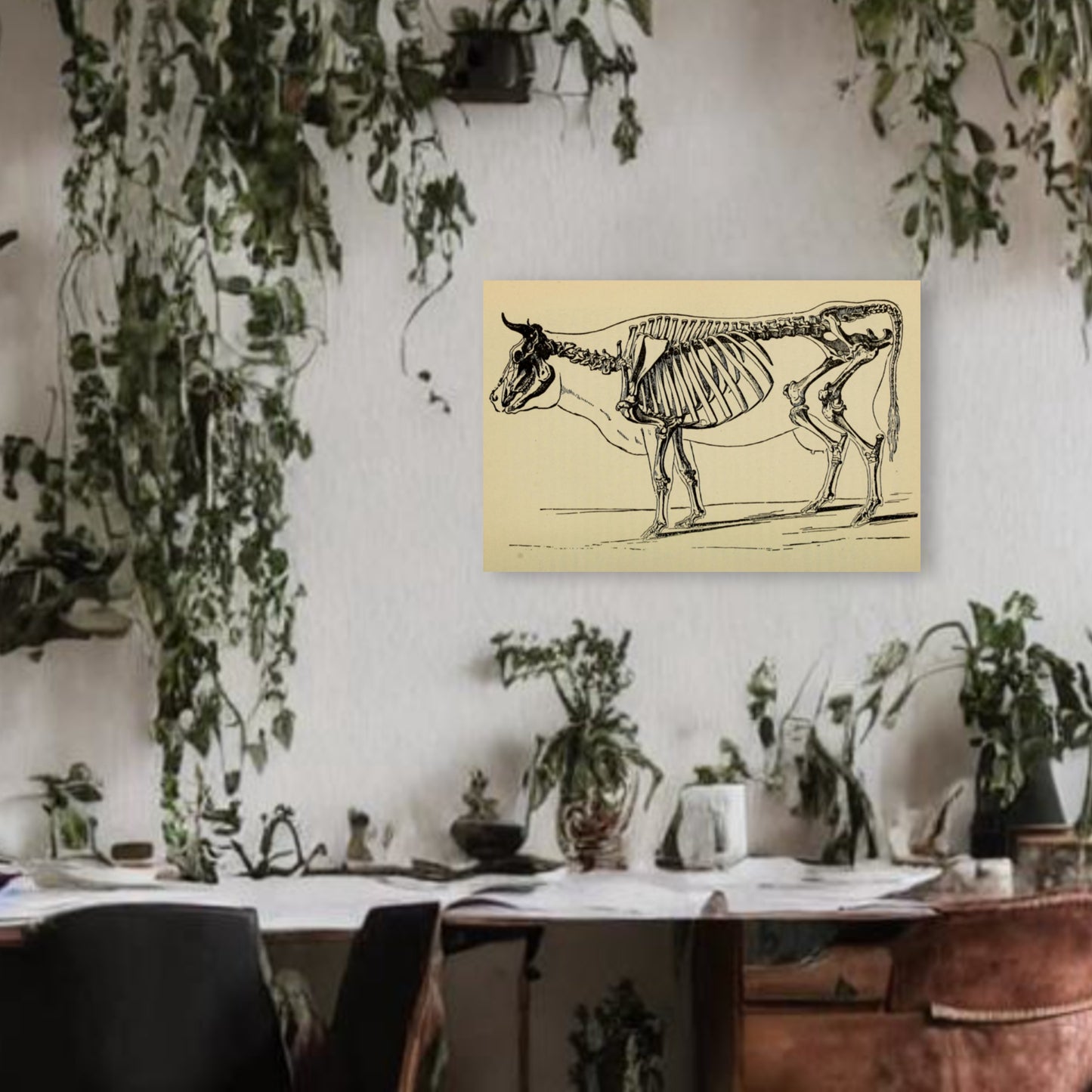 Cow Skeleton Canvas Print - Apothecary Art for Home or Office - Apothecary Decor