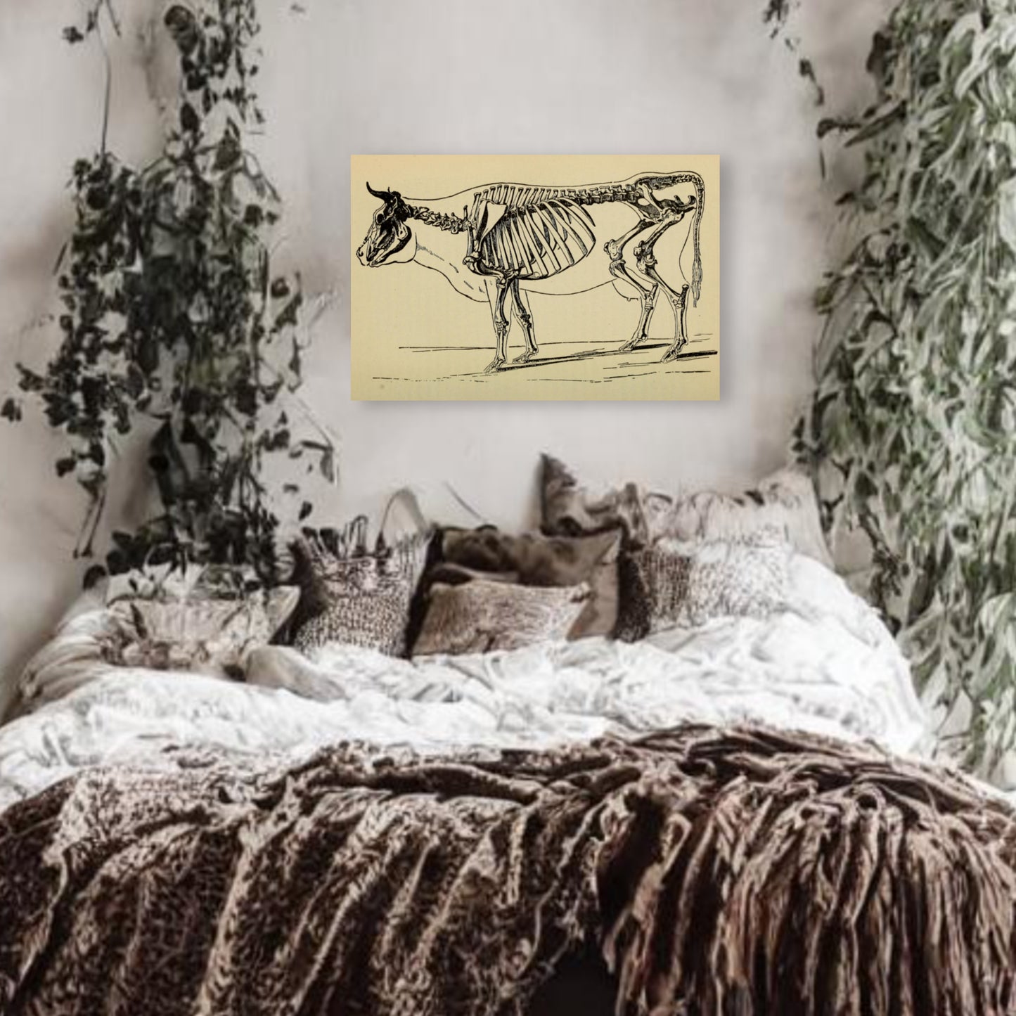 Cow Skeleton Canvas Print - Apothecary Art for Home or Office - Apothecary Decor