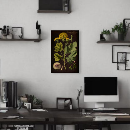 Dark Dandelion Canvas Print - Herbal Art for Home or Office - Apothecary Decor