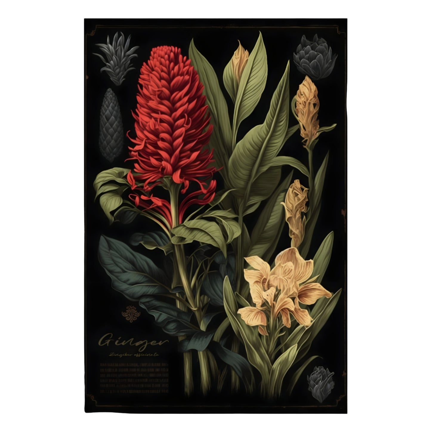 Dark Ginger Canvas Print - Herbal Art for Home or Office - Apothecary Decor