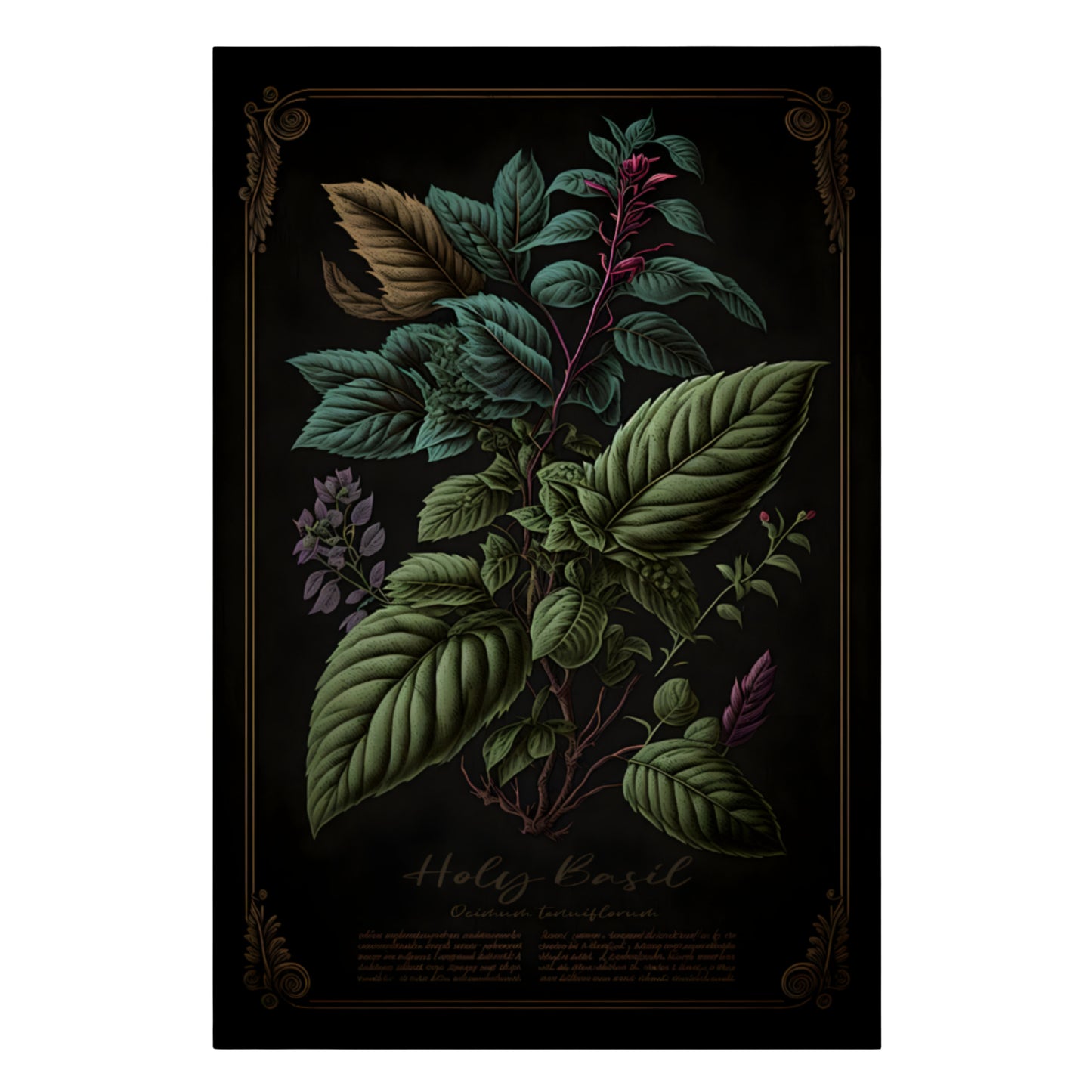 Dark Holy Basil Canvas Print - Herbal Art for Home or Office - Apothecary Decor