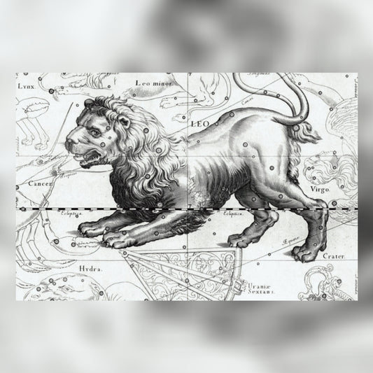 Leo Astrology Canvas Print - Apothecary Art for Home or Office - Apothecary Decor