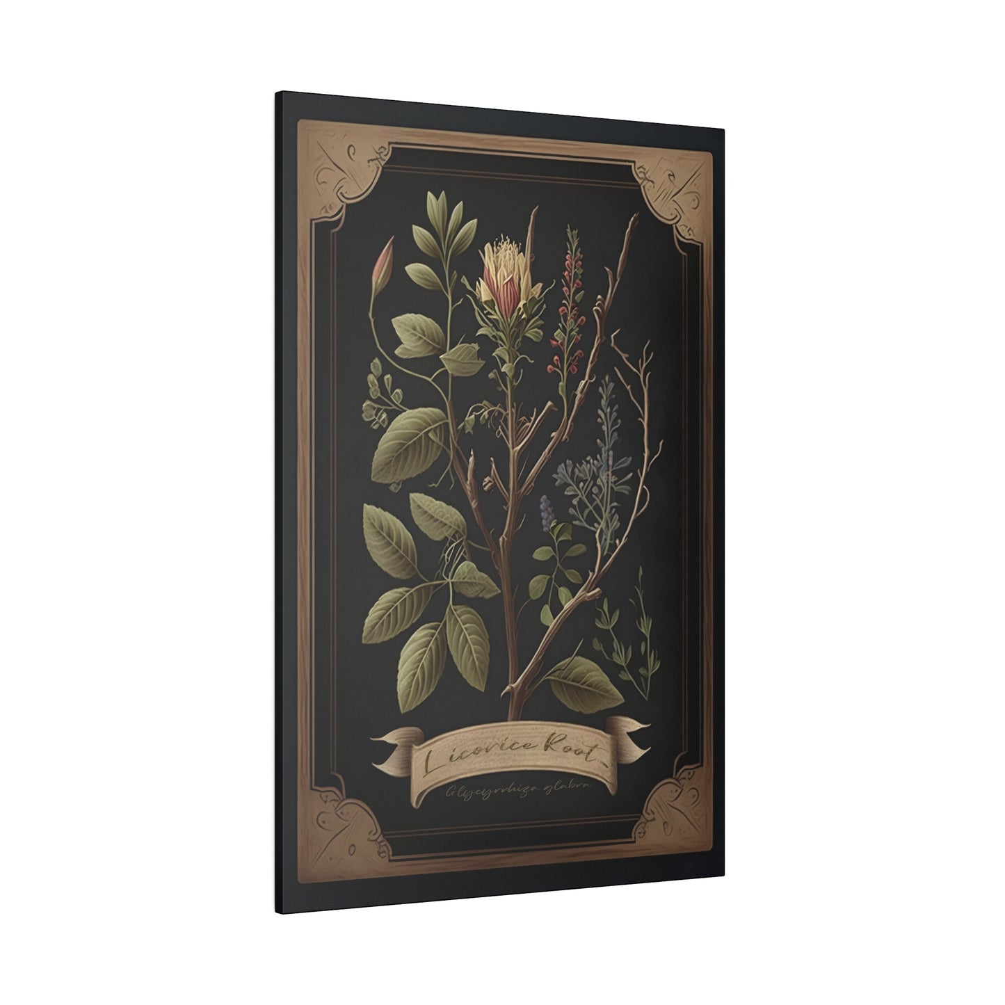 Dark Licorice Root Canvas Print - Herbal Art for Home or Office - Apothecary Decor