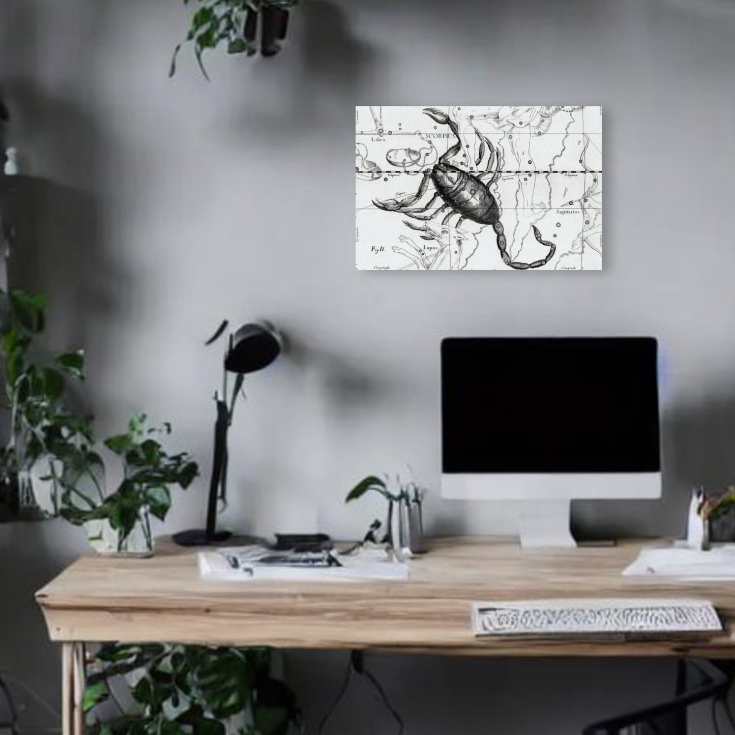 Scorpio Astrology Canvas Print - Apothecary Art for Home or Office - Apothecary Decor