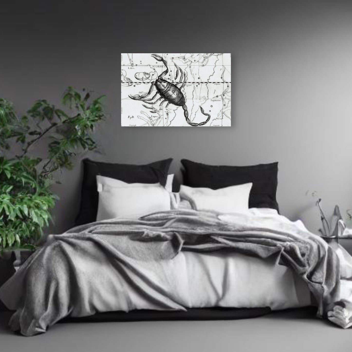 Scorpio Astrology Canvas Print - Apothecary Art for Home or Office - Apothecary Decor