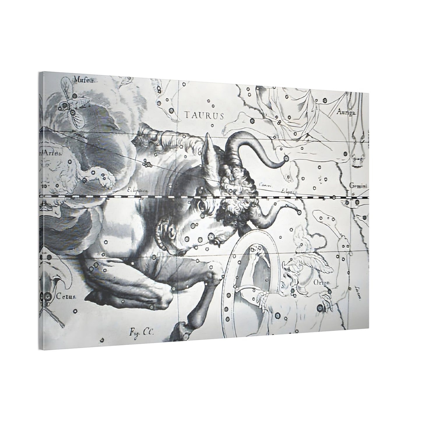 Taurus Astrology Canvas Print - Apothecary Art for Home or Office - Apothecary Decor