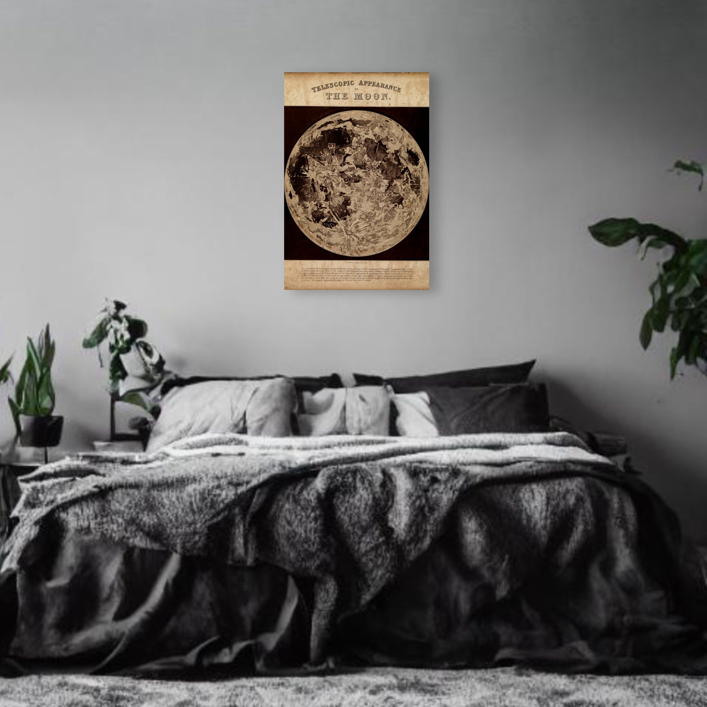 Telescopic Moon Canvas Print - Apothecary Art for Home or Office - Apothecary Decor