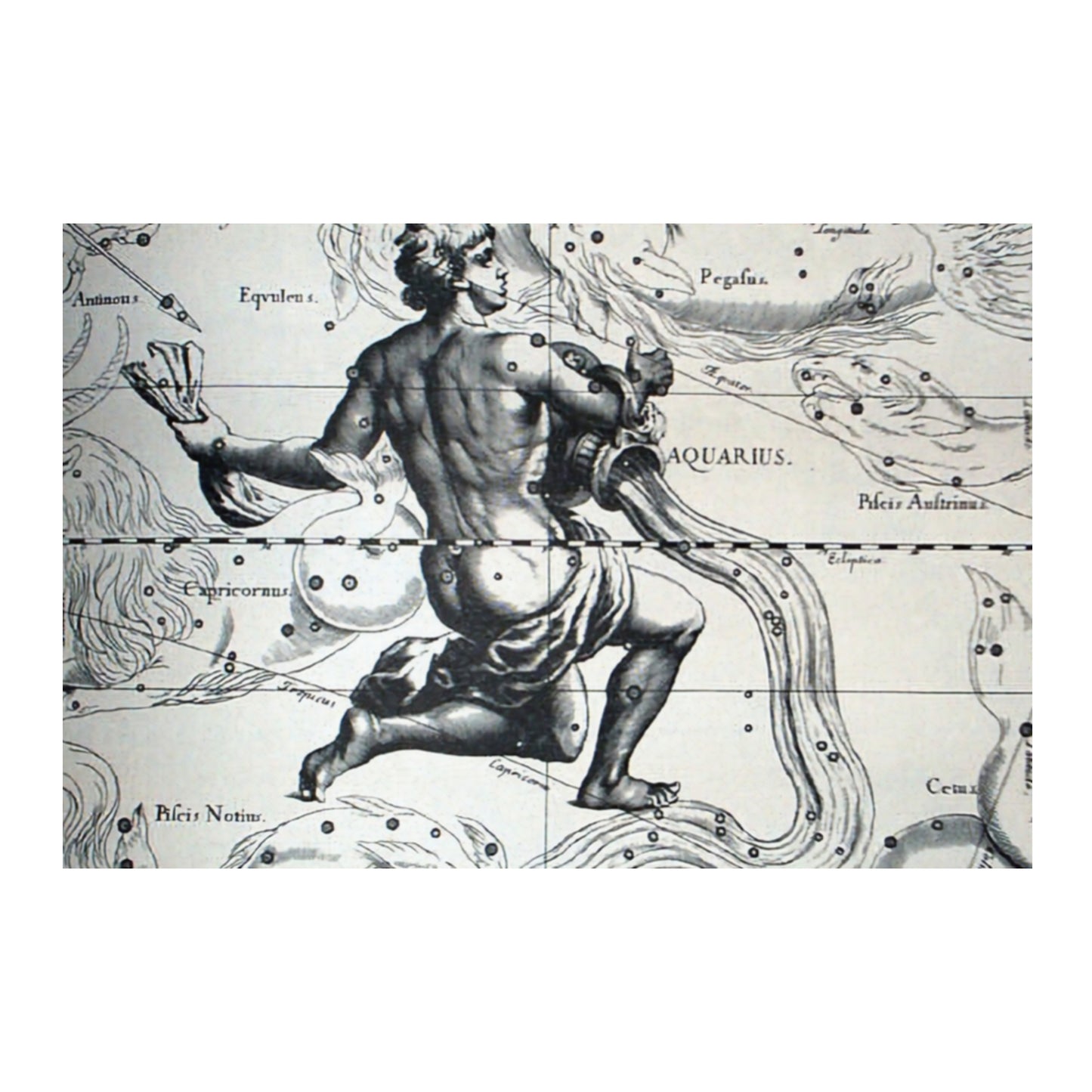 Aquarius Astrology Canvas Print - Apothecary Art for Home or Office - Apothecary Decor