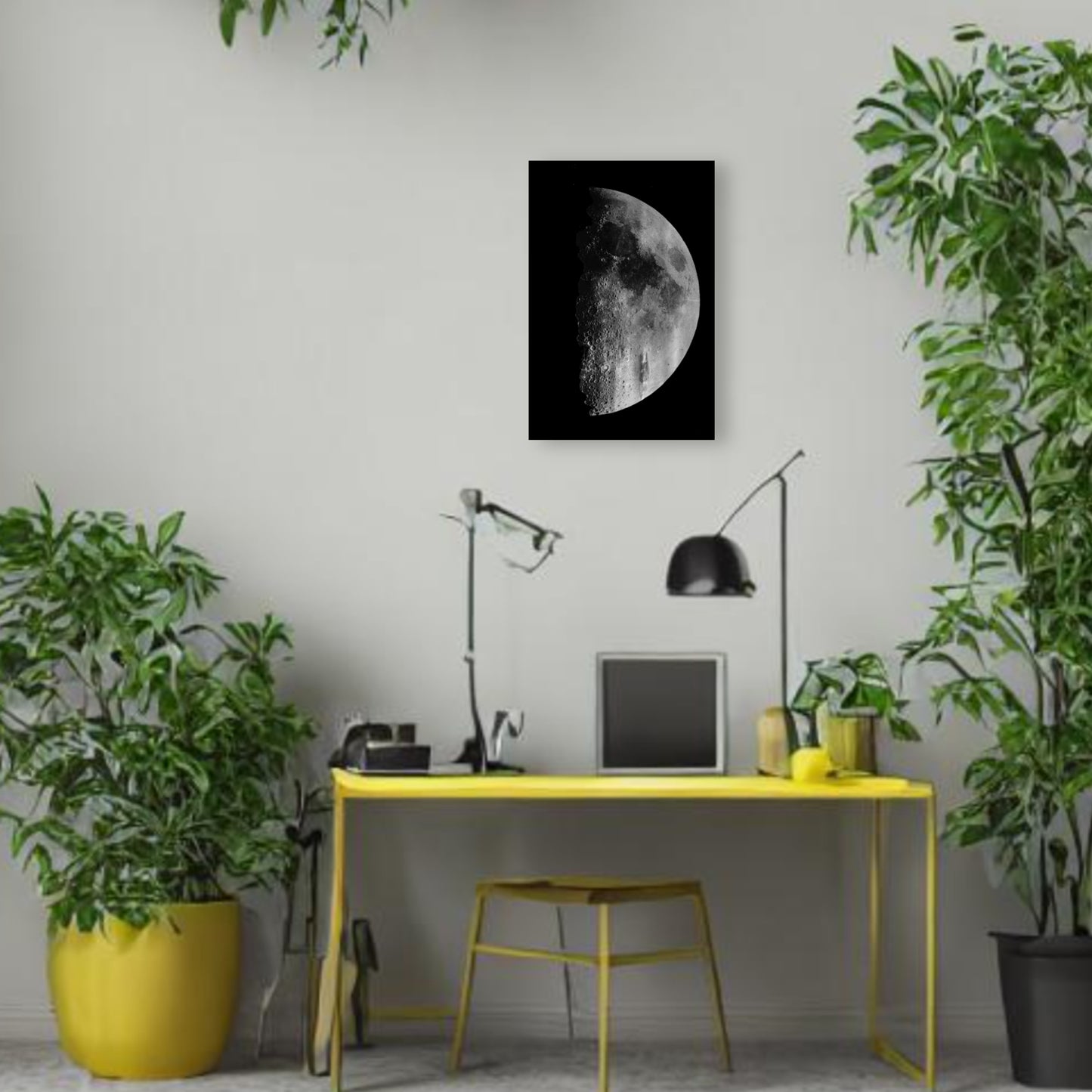 Half Moon Canvas Print - Apothecary Art for Home or Office - Apothecary Decor